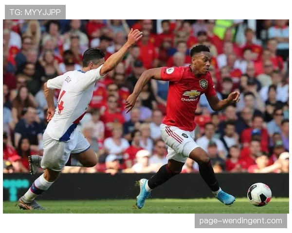 水晶宫防守组织分析 十人应战仍保持零封完成绝杀 水晶宫防守组织分析 十人应战仍保持零封完成绝杀